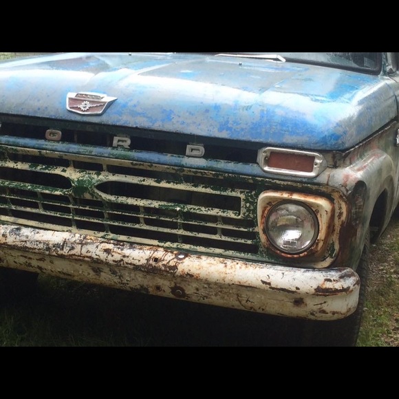 Meet your Posher, Cameron - Picture 1 of 1